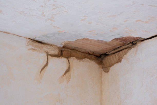 Best 24-hour water damage restoration  in Park Hill, OK