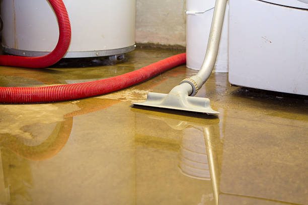 Best Water damage restoration near me  in Park Hill, OK